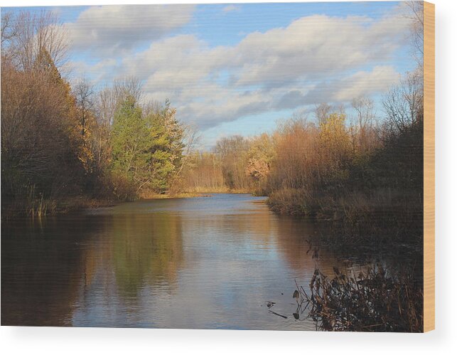 Pond Wood Print featuring the photograph Autumn Pond by Callen Harty