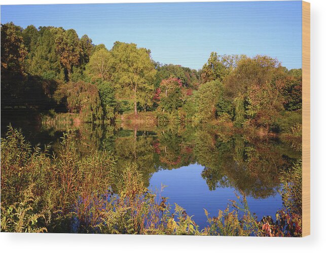 Autumn Wood Print featuring the photograph Autumn Reflection by Angie Tirado
