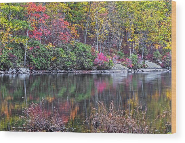 Landscapes Wood Print featuring the photograph Autumn Reflections Sketch by Angelo Marcialis