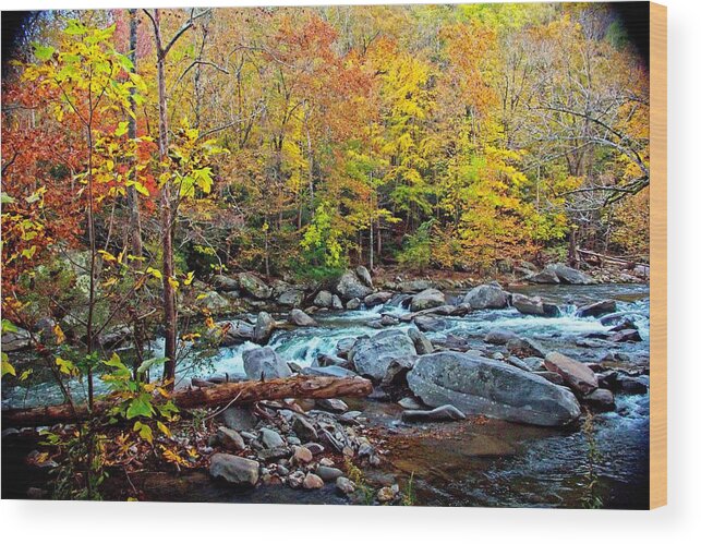 Autumn Wood Print featuring the photograph Autumn River Memories by Allen Nice-Webb