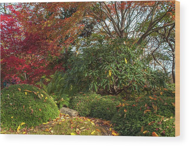 Jenny Rainbow Fine Art Photography Wood Print featuring the photograph Autumn Time in Japanese Garden 4 by Jenny Rainbow