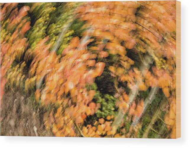 Abstract Wood Print featuring the photograph Autumn Vortex by Denise Bush