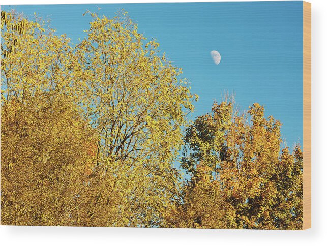 Blue Sky Wood Print featuring the photograph Autumn_and_the_Moon by Greg Booher