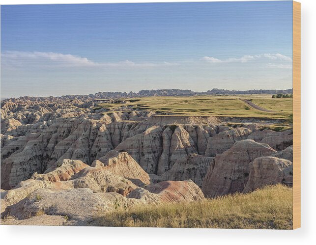 Badlands Wood Print featuring the photograph Badlands Freebird by Chris Spencer