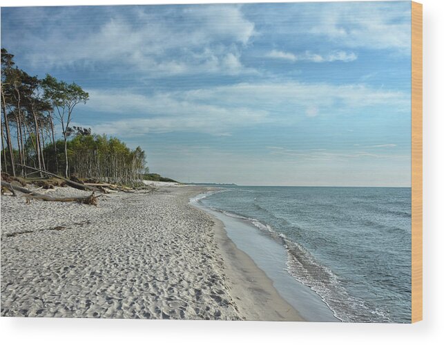 Beach Wood Print featuring the photograph Baltic Natural Beach by Joachim G Pinkawa