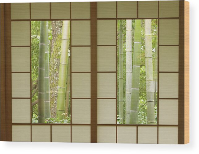Bamboo Wood Print featuring the photograph Bamboo As Viewed Through Tea House by Art Wolfe
