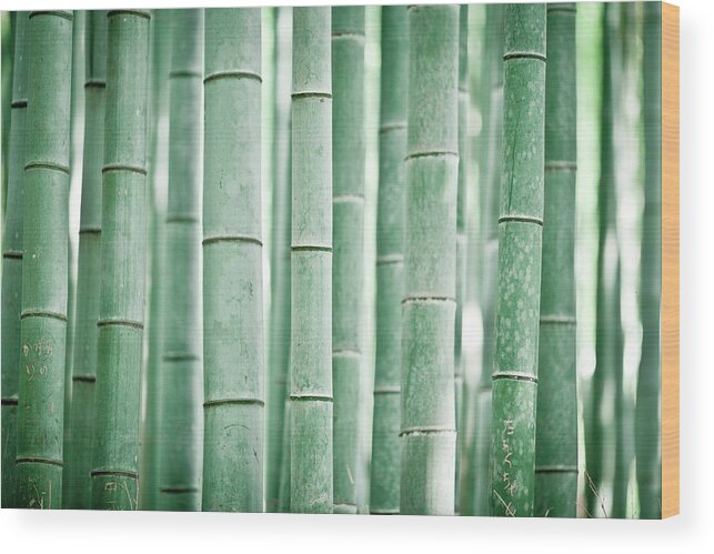 Bamboo Wood Print featuring the photograph Bamboo Grove by Milton Correa