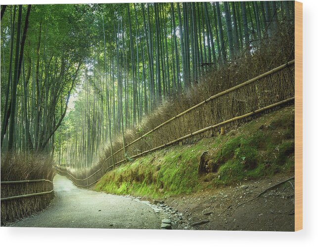 Scenics Wood Print featuring the photograph Bamboo Park, Kyoto, Japan by Yustinus