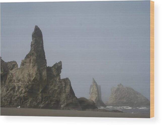 Dylan Punke Wood Print featuring the photograph Bandon Rocks Faint by Dylan Punke