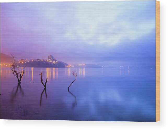 Scenics Wood Print featuring the photograph Bare Trees In Lake Before Sun Rising by Samyaoo