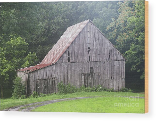 Barn Wood Print featuring the photograph Barn no 112 by Dwight Cook