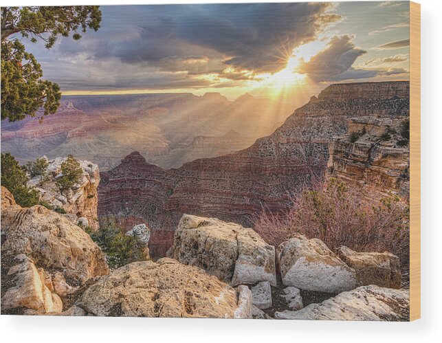 Grand Canyon Wood Print featuring the photograph Bathed in Light by Judi Kubes