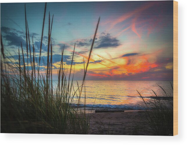 Beach Wood Print featuring the photograph Beach Grass Sunset by Owen Weber