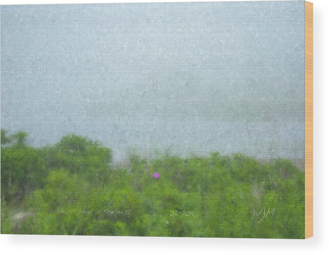 Beach Wood Print featuring the painting Beach Pond in the Mist by Bill McEntee