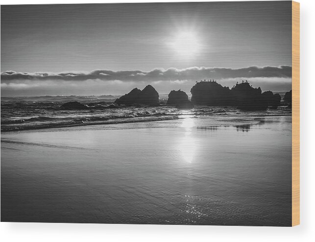 Beaches Wood Print featuring the photograph Beach Reflections by Steven Clark