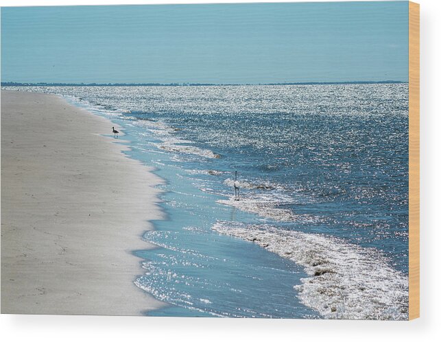 Egret Wood Print featuring the photograph Beach Strolling with the Birds by Mary Ann Artz