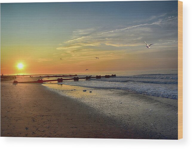 Beach Wood Print featuring the photograph Beach Sunrise by James DeFazio