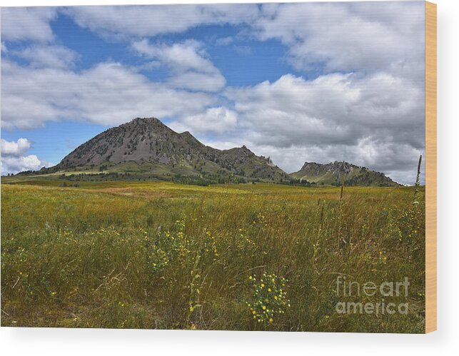 Bear Butte Wood Print featuring the photograph Bear Butte, South Dakota by Catherine Sherman