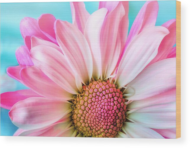 Flower Wood Print featuring the photograph Beautiful pink flower by Top Wallpapers