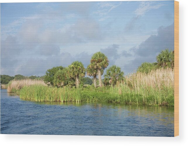 Water's Edge Wood Print featuring the photograph Beautiful St Johns River West Of Mullet by Visionsbyatlee