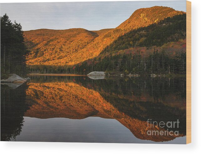 White Mountain National Forest Wood Print featuring the photograph Beaver Pond - Kinsman Notch New Hampshire by Erin Paul Donovan