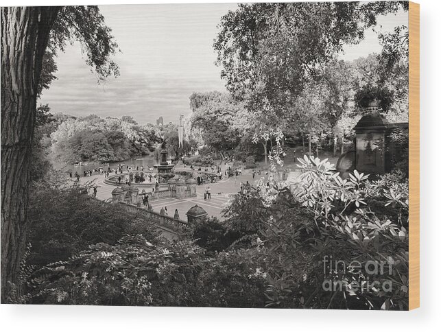 Impression Wood Print featuring the photograph Bethesda Fountain and Terrace, Central Park by Steve Ember