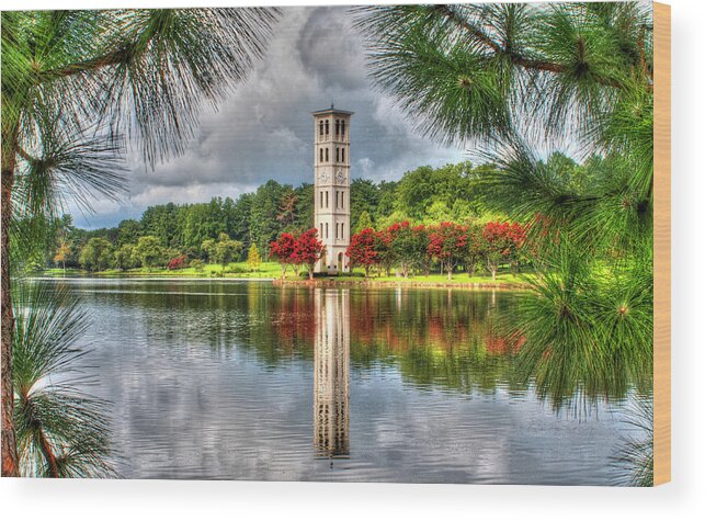 Furman Wood Print featuring the photograph Between the Pines by Blaine Owens