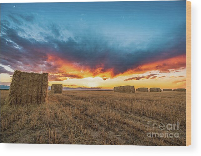 Bales Wood Print featuring the photograph Big Bale Sunset by Christopher Thomas