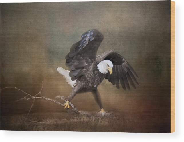 Bald Eagle Wood Print featuring the photograph Big Challenges by Jai Johnson
