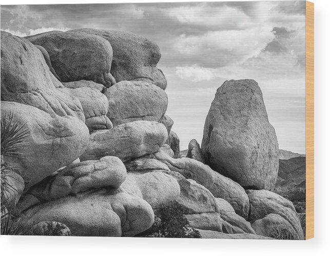 Black And White Wood Print featuring the photograph Big Rock Joshua Tree 7411 by Amyn Nasser