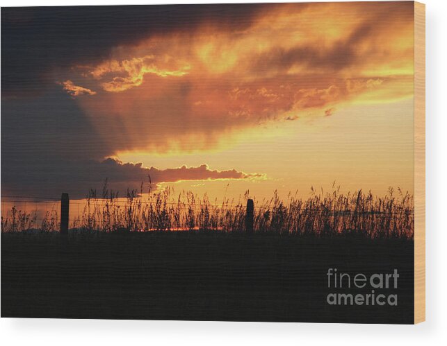 Montana Sunset Wood Print featuring the photograph Big Sky Sunset by Terri Brewster