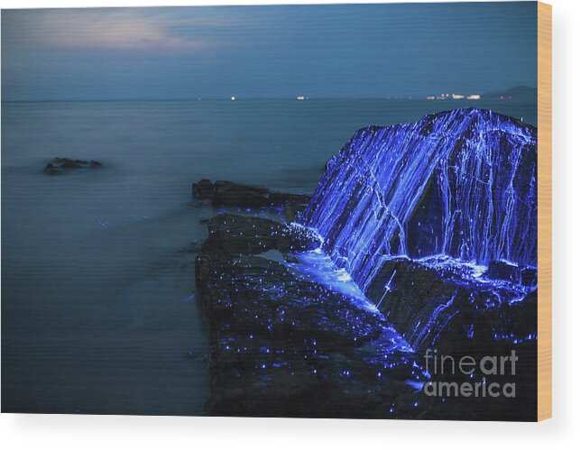 Water's Edge Wood Print featuring the photograph Bio-luminescent Shrimp Spill by Tdub video
