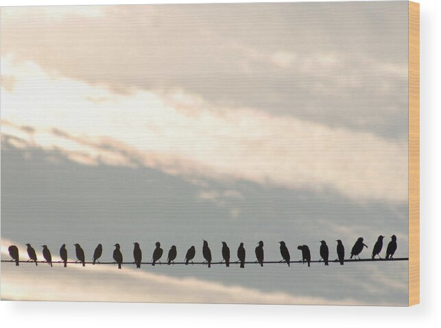 In A Row Wood Print featuring the photograph Birds On A Wire by Jessica Kiser