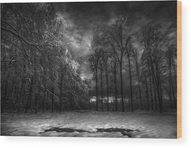 Winter Wood Print featuring the photograph Black Forest by Sebastiaen