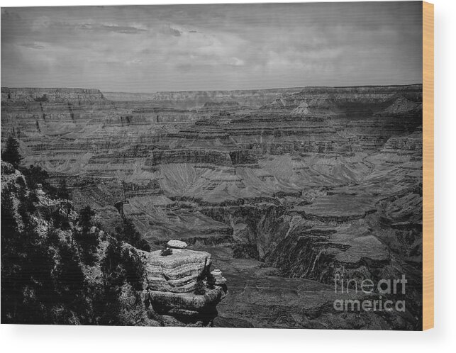 Grand Canyon Wood Print featuring the photograph Black White Panorama Grand Canyon by Chuck Kuhn