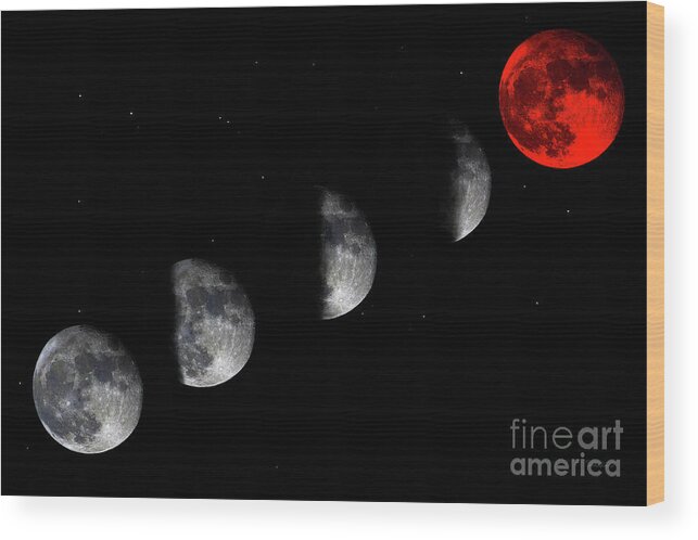 Bloodred Wolf Moon Wood Print featuring the photograph Blood Red Wolf Supermoon Eclipse Series 873i by Ricardos Creations