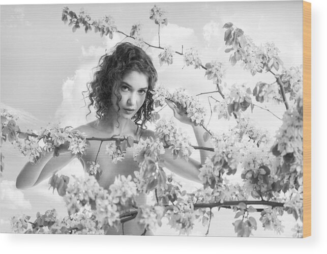 Nude Wood Print featuring the photograph Blossom by Aurimas Valevicius