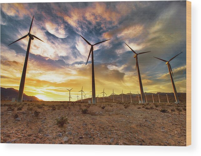 Environmental Conservation Wood Print featuring the photograph Blowing In The Wind by John B. Mueller Photography