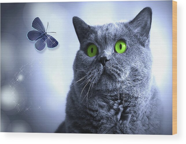 Cat Wood Print featuring the digital art Blue and the Butterfly by Doreen Erhardt