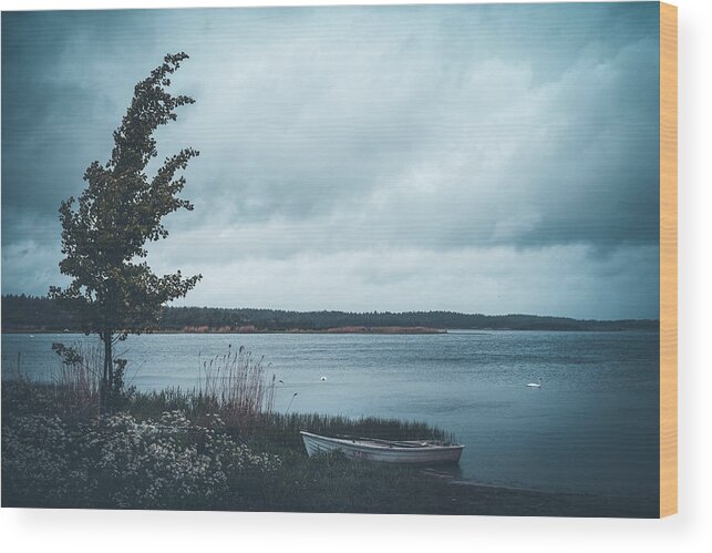 Landscape Wood Print featuring the photograph Blue in the Wind by Philippe Sainte-Laudy