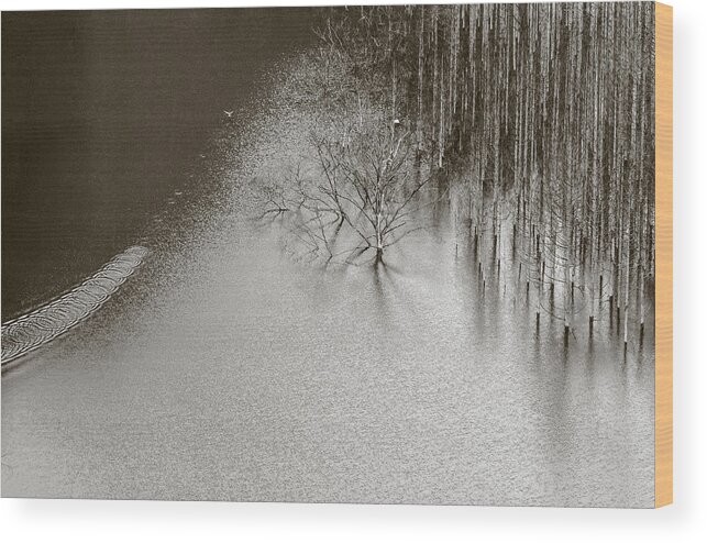 Hokkaido Wood Print featuring the photograph Blue Pond 2 by Eunice Kim