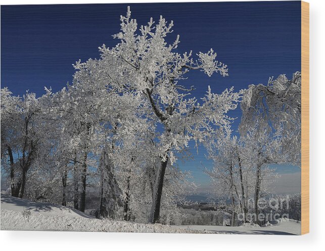 Winter Wood Print featuring the photograph Blue Skies In Winter by Lois Bryan