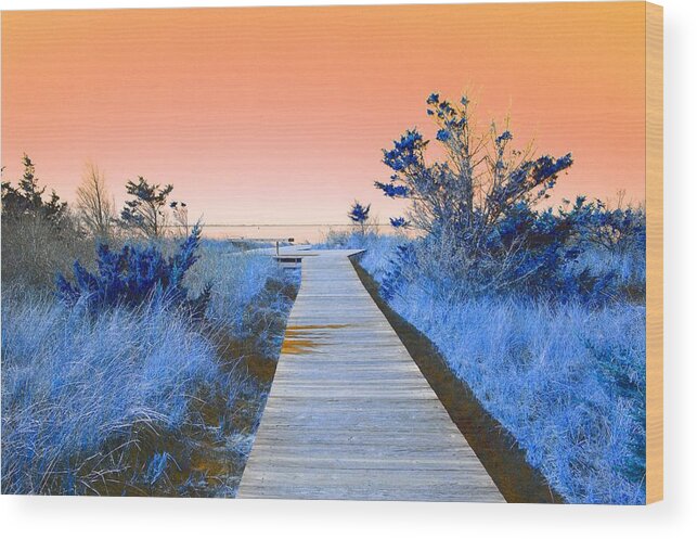 Boardwalk Wood Print featuring the mixed media Boardwalk to the Bay by Stacie Siemsen