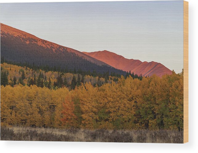  Wood Print featuring the photograph Boreas Pass by Philip Rodgers