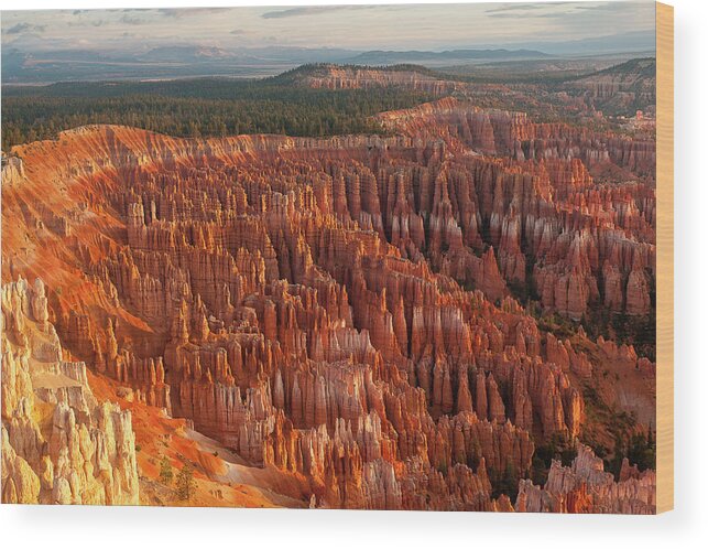 Tranquility Wood Print featuring the photograph Bryce Canyon by Phil