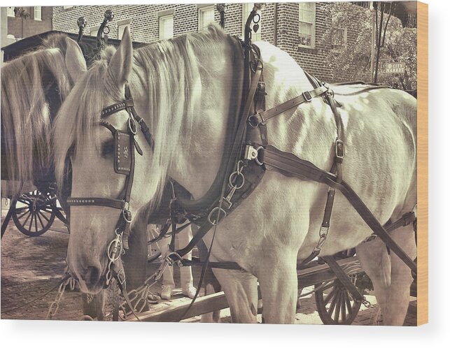 Blinkers Wood Print featuring the photograph Buggy Ride by JAMART Photography