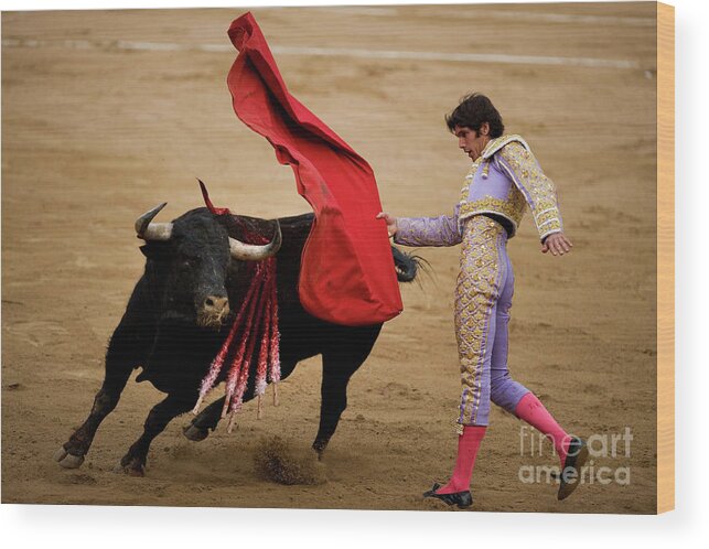 Performance Wood Print featuring the photograph Bullfights In Barcelona 2011 Julian by David Ramos