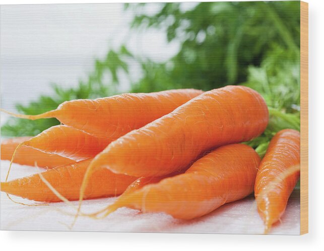 White Background Wood Print featuring the photograph Bunch Of Fresh Carrots, Close Up by Westend61