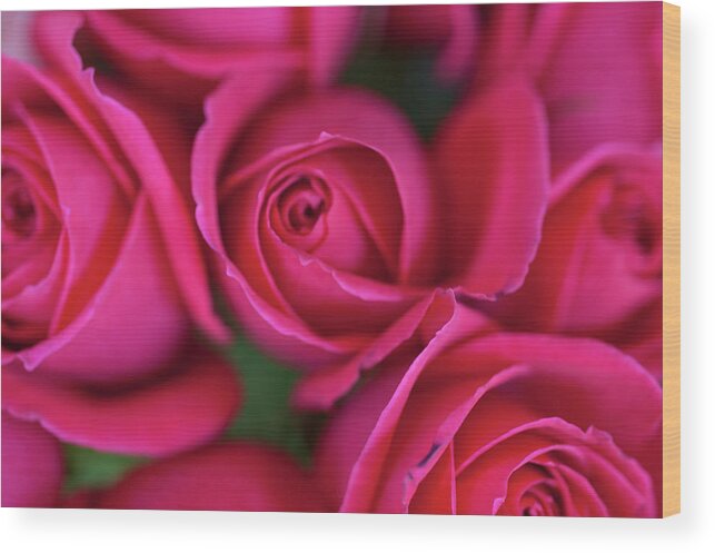 Petal Wood Print featuring the photograph Bunch Of Roses by David Mcglynn