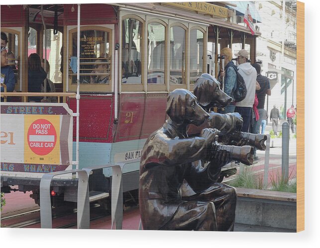 Digital Wood Print featuring the photograph Cable Car and Paparazzi Dogs 2 by Dragan Kudjerski